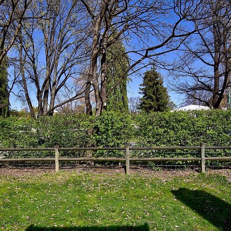 Aberdeen Cottage - Nestled In The Heart Of Arrowtown - New! Bagian luar foto